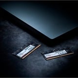 ADATA Premier hukommelsesmodul 16 GB 1 x 16 GB DDR5 Fejlkorrigerende kode Sort, 16 GB, 1 x 16 GB, DDR5, 5600 MHz, 262-pin SO-DIMM