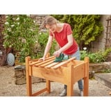Bosch EasySander 18V-8 Rystepudser 22000 OPM Sort, Grøn, Multi Sander Grøn, Rystepudser, Sort, Grøn, 22000 OPM, 1,6 mm, Batteri, 2,5 At