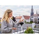 GARDENA 11430-20 lysestage Sort, Transparent, Lampe Sort/gennemsigtig, 1 stk, Sort, Transparent