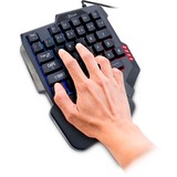 Inter-Tech KB-3035 tastatur USB QWERTY Sort Sort, Mini, USB, QWERTY, RGB LED, Sort