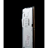 Kingston FURY FURY Beast 32 GB 5200 MT/s DDR5 CL40 DIMM (sæt med 2) White RGB XMP, Hukommelse Hvid, 32 GB, 2 x 16 GB, DDR5, 288-pin DIMM