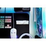 Kingston FURY FURY Beast 32 GB 5200 MT/s DDR5 CL40 DIMM (sæt med 2) White RGB XMP, Hukommelse Hvid, 32 GB, 2 x 16 GB, DDR5, 288-pin DIMM