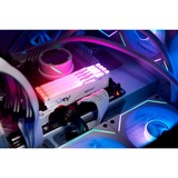 Kingston FURY FURY Beast 32 GB 5200 MT/s DDR5 CL40 DIMM (sæt med 2) White RGB XMP, Hukommelse Hvid, 32 GB, 2 x 16 GB, DDR5, 288-pin DIMM