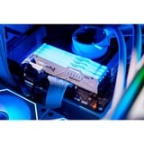 Kingston FURY FURY Beast 32 GB 5200 MT/s DDR5 CL40 DIMM (sæt med 2) White RGB XMP, Hukommelse Hvid, 32 GB, 2 x 16 GB, DDR5, 288-pin DIMM