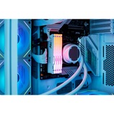 Kingston FURY FURY Beast 32 GB 5200 MT/s DDR5 CL40 DIMM (sæt med 2) White RGB XMP, Hukommelse Hvid, 32 GB, 2 x 16 GB, DDR5, 288-pin DIMM