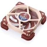 Noctua NV-MPP1.brown Sx4 Multifunktionelle puder, Tætning Brown