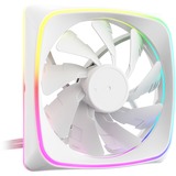 Sharkoon SHARK Lights RGB PWM, Sag fan Hvid