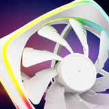Sharkoon SHARK Lights RGB PWM, Sag fan Hvid