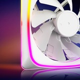 Sharkoon SHARK Lights RGB PWM, Sag fan Hvid
