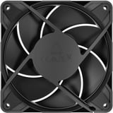 ARCTIC Freezer P12 Pro Computerkabinet Ventilator 12 cm Sort 1 stk, Sag fan Sort, Ventilator, 12 cm, 131 m³/t, Sort