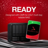 Seagate IronWolf Pro NAS 2 TB CMR, Harddisk 