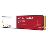 WD WD Red SN700 M.2 250 GB PCI Express 3.0 NVMe, Solid state-drev 250 GB, M.2, 3100 MB/s, 8 Gbit/sek.