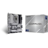 Biostar Z890A-Silver, Bundkort 