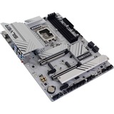 Biostar Z890A-Silver, Bundkort 