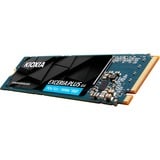 Kioxia LVD10Z002TG8, Solid state-drev 