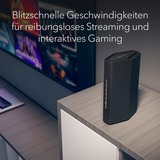 Netgear RS100-100EUS, Router Sort