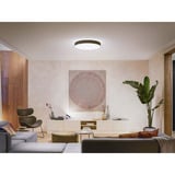 Philips Hue White Ambiance Enrave loftlampe XL, LED lys Sort