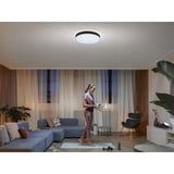 Philips Hue White Ambiance Enrave loftlampe XL, LED lys Sort
