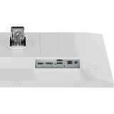 iiyama XUB2293HSU-W7, LED-skærm hvid (mat)