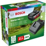 Bosch F016800609 ledningsfrit batteri og ledningsfri oplader Batteri- og opladersæt Sort, Batteri- og opladersæt, Lithium-Ion (Li-Ion), 2 At, 36 V, Bosch, Sort