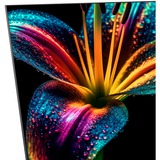 CHiQ U50QM8V, QLED TV Sort