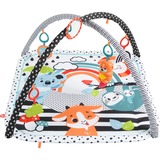 Fisher-Price 3-in-1 Music, Glow and Grow Gym aktivitetsmåtte, legetæppe Glow and Grow Gym aktivitetsmåtte, Baby legesæt, Legetøjsbar, Klingende, Stof, Plast, Flerfarvet