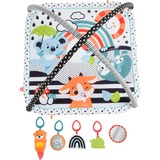 Fisher-Price 3-in-1 Music, Glow and Grow Gym aktivitetsmåtte, legetæppe Glow and Grow Gym aktivitetsmåtte, Baby legesæt, Legetøjsbar, Klingende, Stof, Plast, Flerfarvet