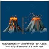 KOSMOS 637286, Eksperiment boks 