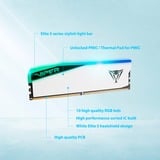 Patriot DIMM 32 GB DDR5-5600, Hukommelse Hvid