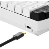 Sharkoon SGK50 S4 tastatur USB QWERTY US engelsk Hvid, Gaming-tastatur Hvid/Sort, Amerikansk layout, Kailh blå, 60%, USB, QWERTY, RGB LED, Hvid