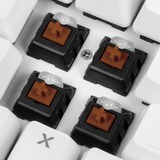 Sharkoon SKILLER SGK3 tastatur USB QWERTY Engelsk Hvid, Gaming-tastatur Hvid, Amerikansk layout, Kalih brun, Fuld størrelse (100 %), USB, Mekanisk, QWERTY, RGB LED, Hvid