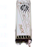 ADATA Solid state-drev 