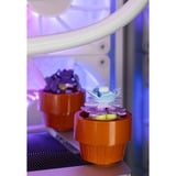 ALTERNATE ALT-ICUECS-AMD-002, Gaming PC Hvid/gennemsigtig