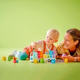 LEGO 10421, Bygge legetøj 