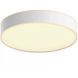 Philips Hue White Ambiance Enrave loftlampe M, LED lys Hvid