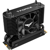 Team Group T-Force GE Pro 4 TB, Solid state-drev Sort/Guld