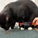 Thermal Grizzly TG-CAL-150, Måleinstrument Sort/Rød