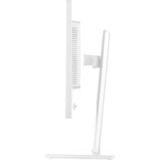 iiyama ProLite XB2497HSU-W1, LED-skærm hvid (mat)