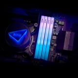 ADATA AX5U6000C4816G-SLABRWH, Hukommelse Hvid