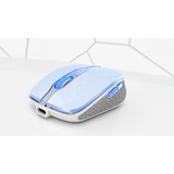 CHERRY DW 9100 SLIM tastatur Mus inkluderet Universel RF trådløs + Bluetooth QWERTY US engelsk Sølv, Desktop sæt Hvid/Sølv, EU-layout (antal), SX teknologi, Trådløs, RF trådløs + Bluetooth, QWERTY, Sølv, Mus inkluderet