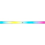 Corsair DIMM 32 GB DDR5-5600 (2x 16 GB) Dual-Kit, Hukommelse grå