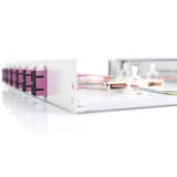 Digitus LWL-splejsebox, udstyret, 6x SC DX, OM4, Splejse boks 