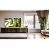 TCL 50S5L, QLED TV Sort