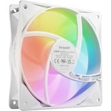 be quiet! Light Wings LX 120 mm PWM Reverse White Computerkabinet Ventilator 12 cm Hvid 1 stk, Sag fan Hvid, Ventilator, 12 cm, 1500 rpm, 83 m³/t, Hvid