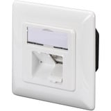 Digitus CAT.6A dataudtag, påbygget, afskærmet, 2x RJ-45 LSA, Samledåse Hvid