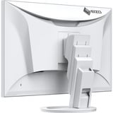 EIZO LED-skærm Hvid