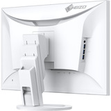 EIZO LED-skærm Hvid