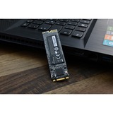MediaRange MR913 USB-nøgle 128 GB USB Type-A 2.0 Sort, Sølv, USB-stik Sort/Sølv, 128 GB, USB Type-A, 2.0, 10 MB/s, Svirvel, Sort, Sølv
