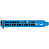 OWC Accelsior 8M2 16 TB, Solid state-drev Sort/Blå