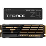 Team Group TM8FPQ002T0C327, Solid state-drev 